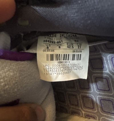 Nike Sb Dunk Low Purple Pigeons Size 9