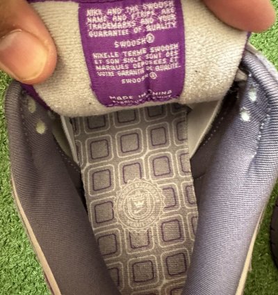 Nike Sb Dunk Low Purple Pigeons Size 9