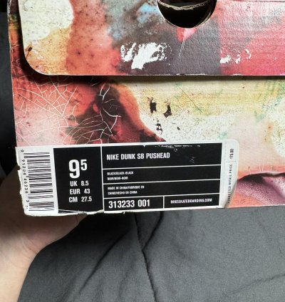 Nike Sb Dunk Low Pushead - Size 9 5