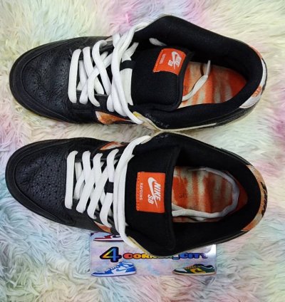 Nike Sb Dunk Low Raygun