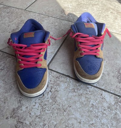 Nike Sb Dunk Low Reverse Papa Bear