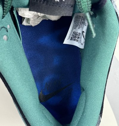 Nike Sb Dunk Low Sneakers