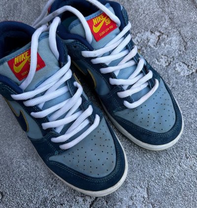 Nike Sb Dunk Low Sneakers