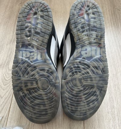 Nike Sb Dunk Low Staple Panda Pigeon