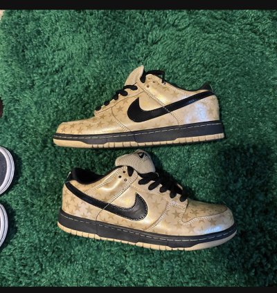 Nike Sb Dunk Low Trickstarr
