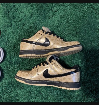 Nike Sb Dunk Low Trickstarr
