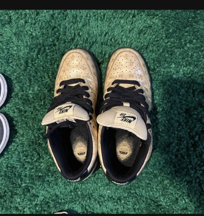 Nike Sb Dunk Low Trickstarr