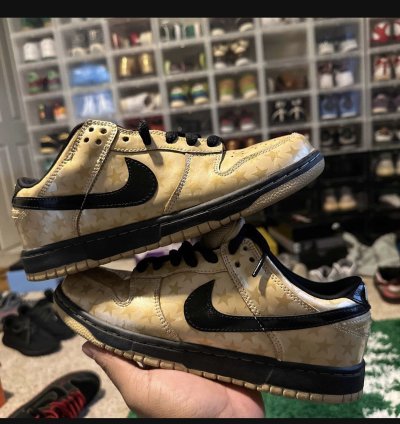 Nike Sb Dunk Low Trickstarr