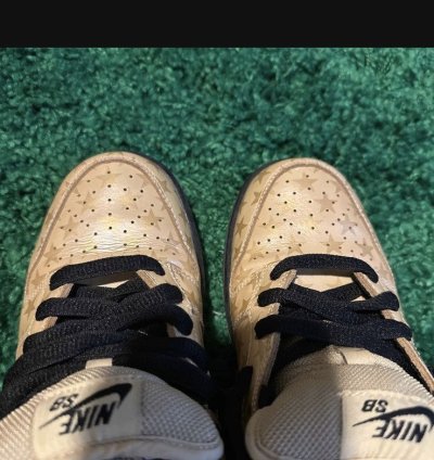 Nike Sb Dunk Low Trickstarr