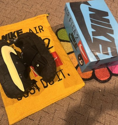 Cpfm Air Flea 2