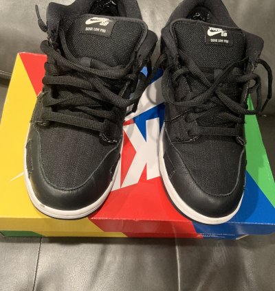 Nike Sb Dunk Low Wasted Youth