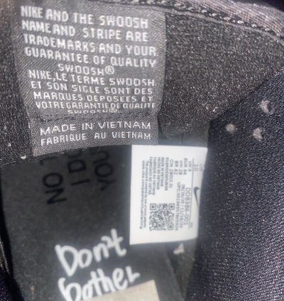 Nike Sb Dunk Low Wasted Youth