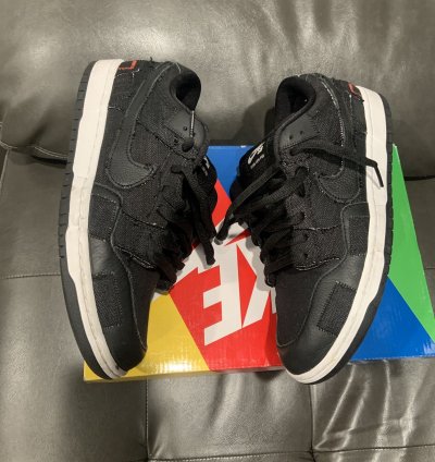 Nike Sb Dunk Low Wasted Youth