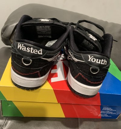 Nike Sb Dunk Low Wasted Youth