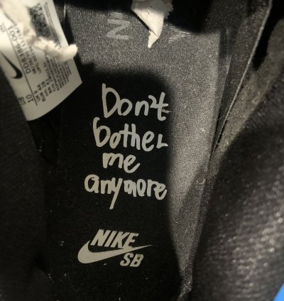 Nike Sb Dunk Low Wasted Youth