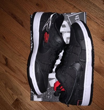 Nike Sb Dunk Low Wasted Youth Special Box