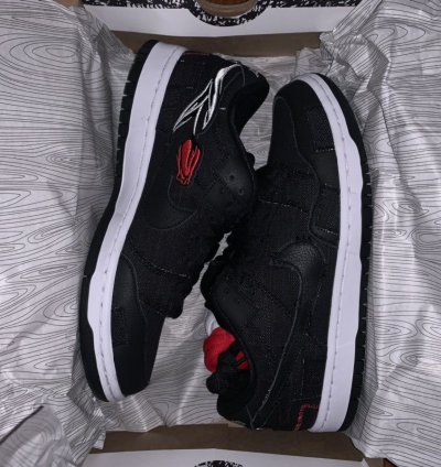 Nike Sb Dunk Low Wasted Youth Special Box