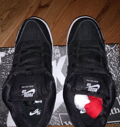 Nike Sb Dunk Low Wasted Youth Special Box