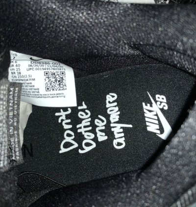 Nike Sb Dunk Low Wasted Youth Special Box
