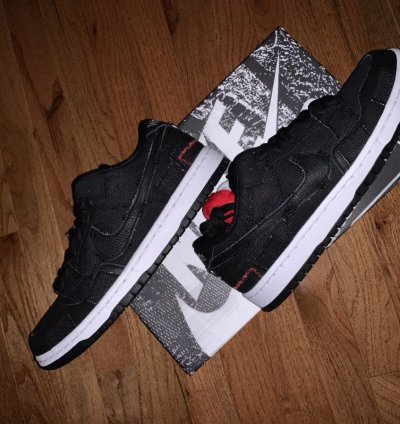 Nike Sb Dunk Low Wasted Youth Special Box