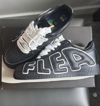 Ds 9 5 Cactusplantfleamarket Af1