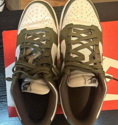 Nike Sb Dunk Olive Sz 10 Vnds