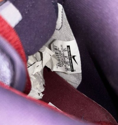 Nike Sb Dunk Plum Dunk High