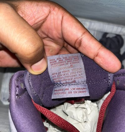 Nike Sb Dunk Plum Dunk High