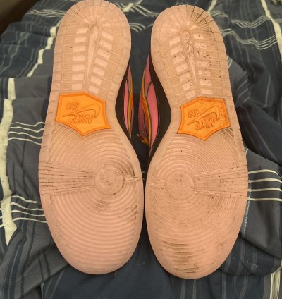 Nike Sb Dunk Powerpuff Girls Blossom