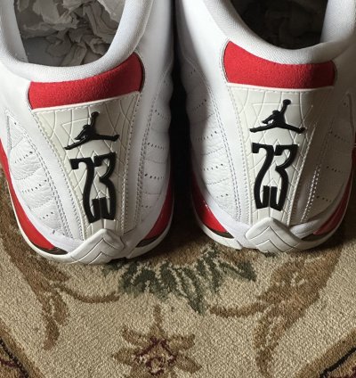 Nike Air Jordan 14 Retro
