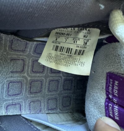Nike Sb Dunk Purple Pigeon 2006