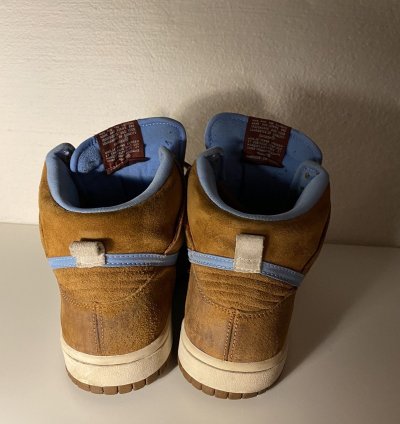 Nike Sb Dunk Skate Mental