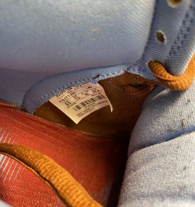 Nike Sb Dunk Skate Mental