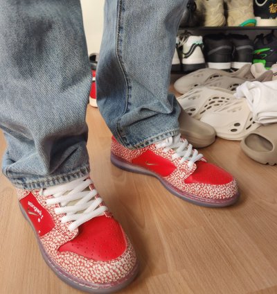 Nike Sb Dunk Stingwater Magic Mushroom