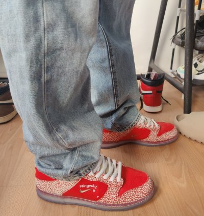 Nike Sb Dunk Stingwater Magic Mushroom