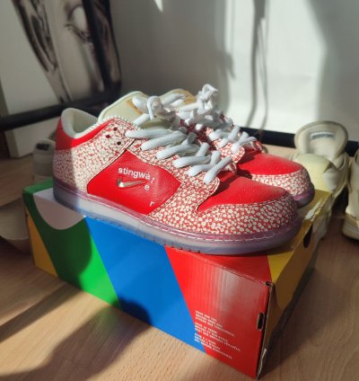 Nike Sb Dunk Stingwater Magic Mushroom