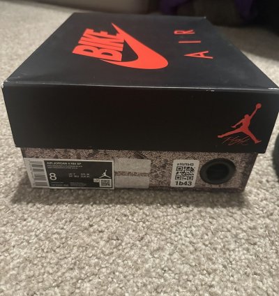 Nike Air Jordan 4 Low Nigel Sylvester Bike Air