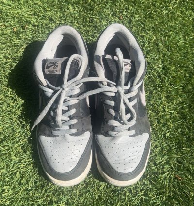 Dunk Low Sb -pack Shadow No Box