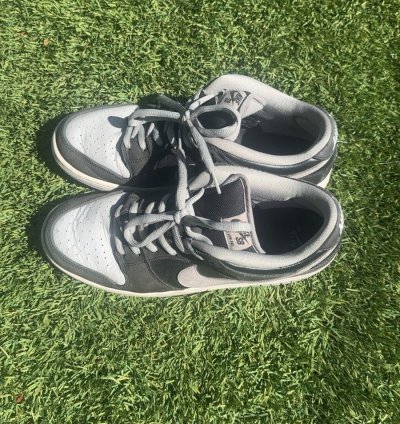 Dunk Low Sb -pack Shadow No Box