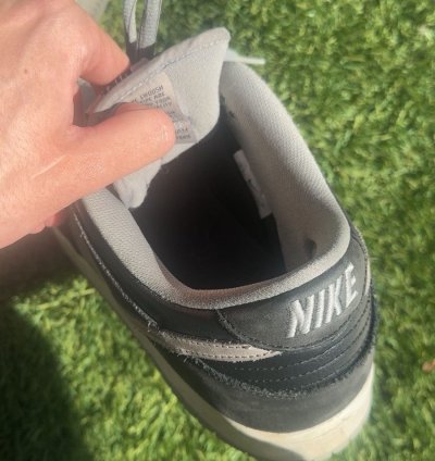 Dunk Low Sb -pack Shadow No Box