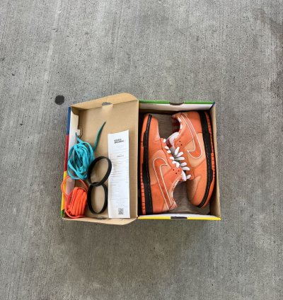 Nike Sb Dunks Low Orange Lobsters