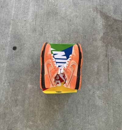 Nike Sb Dunks Low Orange Lobsters