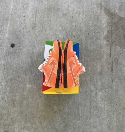 Nike Sb Dunks Low Orange Lobsters