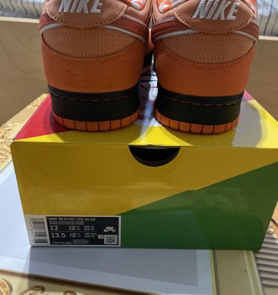 Orange Lobster Nike Sb Dunk Low Qs