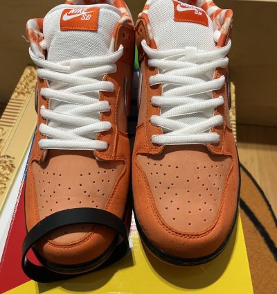 Orange Lobster Nike Sb Dunk Low Qs