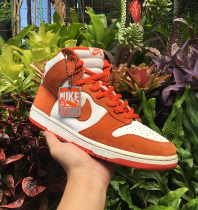 Rare Nike Sb Dunk High Pro Syracuse 2005