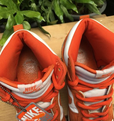 Rare Nike Sb Dunk High Pro Syracuse 2005