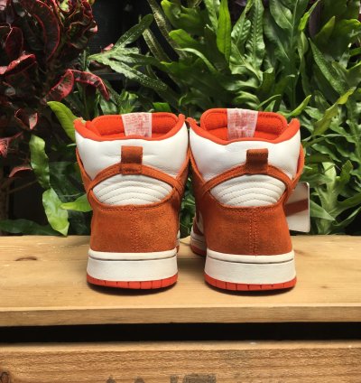 Rare Nike Sb Dunk High Pro Syracuse 2005