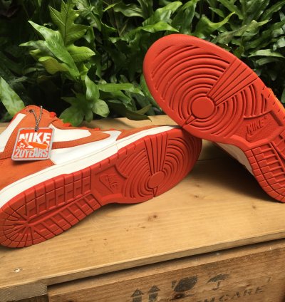 Rare Nike Sb Dunk High Pro Syracuse 2005