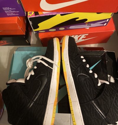 Rare Nike Sb Dunk Skunk High